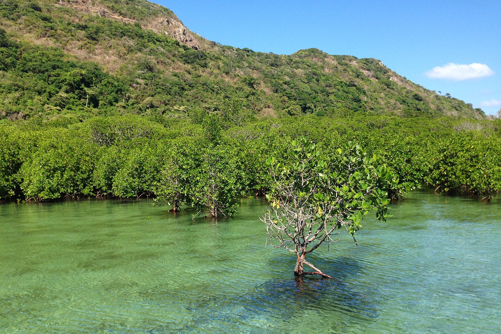 lịch trinh du lịch côn Đảo - hinh 8