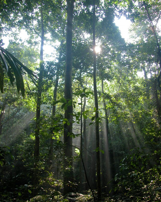 Phong Nha-Kẻ Bàng - hinh 6