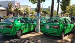 Taxi Mai Linh Gia Lai