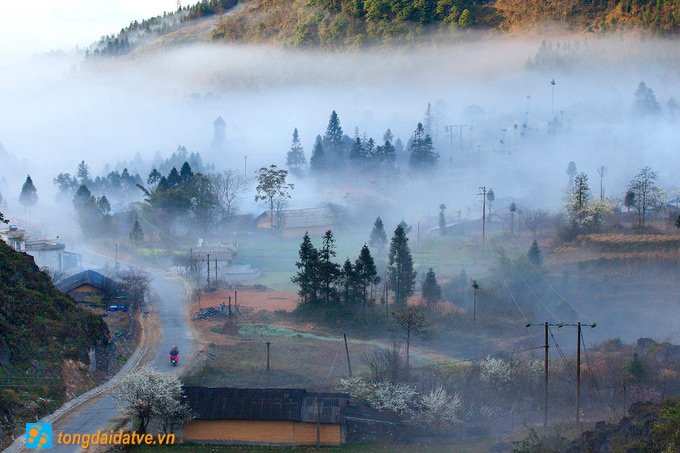 Đến Hà Giang ngắm sắc xuân trên cao nguyên đá - hinh 1