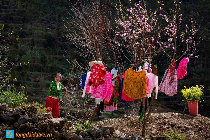 Đến Hà Giang ngắm sắc xuân trên cao nguyên đá - hinh 10