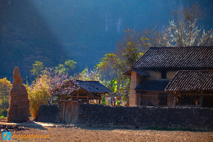 Đến Hà Giang ngắm sắc xuân trên cao nguyên đá - hinh 2