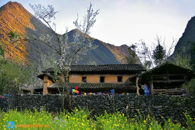 Đến Hà Giang ngắm sắc xuân trên cao nguyên đá - hinh 8