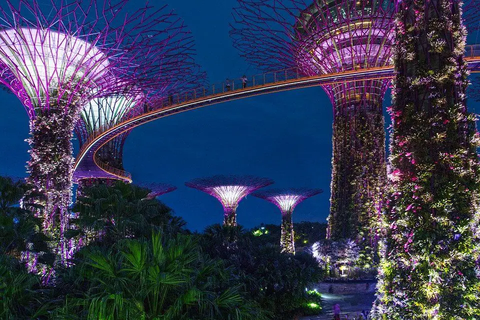 Singapore Travel Guide - 469