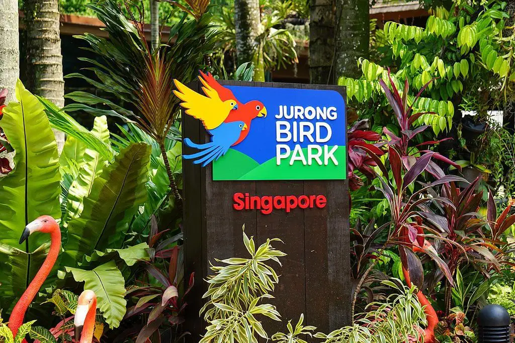 Singapore Travel Guide -580