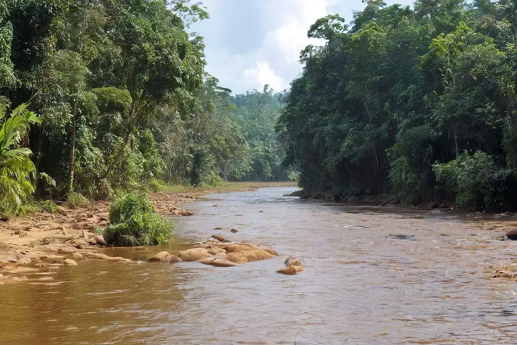 Cambodia Travel - IMG-6610