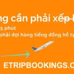 Thủ tục check in online Vietnam Airlines, Vietjet