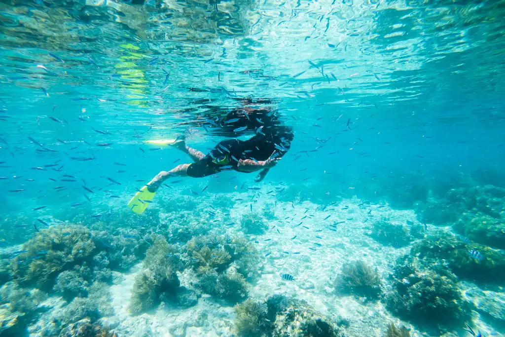 Malaysia Travel Guide - img 6752